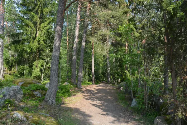 Parlak, güzel doğa, Finlandiya 'nın Espoo şehrinin sıradışı manzaraları. Büyük gri kahverengi taşlar, Finlandiya Körfezi 'nin mavi suyu, büyük yeşil ağaçlar, çamlar, gökyüzüne karşı ateşler..