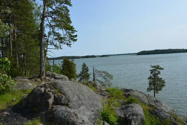 Parlak, güzel doğa, Finlandiya 'nın Espoo şehrinin sıradışı manzaraları. Büyük gri kahverengi taşlar, Finlandiya Körfezi 'nin mavi suyu, büyük yeşil ağaçlar, çamlar, parlak mavi bir gökyüzünün arka planında ilk ağaçlar..