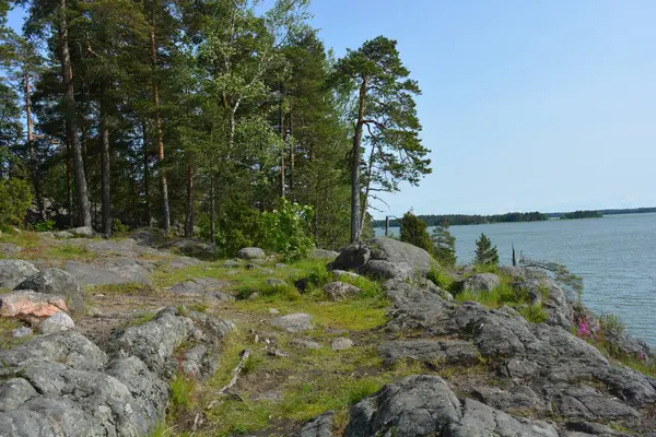 Parlak, güzel doğa, Finlandiya 'nın Espoo şehrinin sıradışı manzaraları. Büyük gri kahverengi taşlar, Finlandiya Körfezi 'nin mavi suyu, büyük yeşil ağaçlar, çamlar, parlak mavi bir gökyüzünün arka planında ilk ağaçlar..