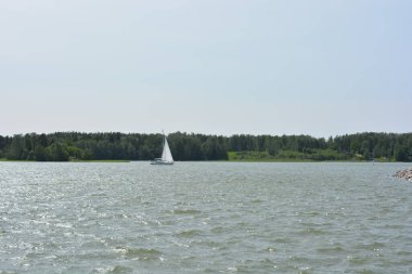 Güzel bir doğa, Finlandiya Körfezi kıyısı. Finlandiya 'nın Espoo kentindeki su deposunda güzel, parlak bir yat denize açılır..