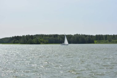 Güzel bir doğa, Finlandiya Körfezi kıyısı. Finlandiya 'nın Espoo kentindeki su deposunda güzel, parlak bir yat denize açılır..