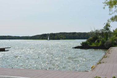 Güzel, parlak doğa, yeşil köknar ağaçları, uzun çam ağaçları, ağaçlar ve güzel beyaz evleri olan tepelik bir manzara. Finlandiya 'nın Espoo şehrinde Finlandiya kıyısında yeni güzel evler bulunmaktadır..