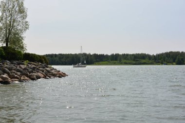 Güzel bir doğa, Finlandiya Körfezi kıyısı. Finlandiya 'nın Espoo kentindeki su deposunda güzel, parlak bir yat denize açılır..