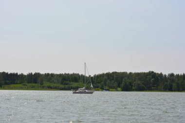 Güzel bir doğa, Finlandiya Körfezi kıyısı. Finlandiya 'nın Espoo kentindeki su deposunda güzel, parlak bir yat denize açılır..