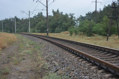 Eski demiryolu rayları, siyah elektrik kablolu metal raylar bozkır boyunca elektrik hatları ve yeşil ağaçlı yeşil orman ve eski çam ağaçları.. 