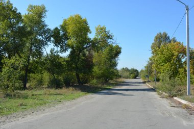 Beautiful and bright nature, a gray road with gray cedar, a fence, a curb and gray sand on the side of the road, large deciduous trees, a blue sky.