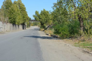 Beautiful and bright nature, a gray road with gray cedar, a fence, a curb and gray sand on the side of the road, large deciduous trees, a blue sky.