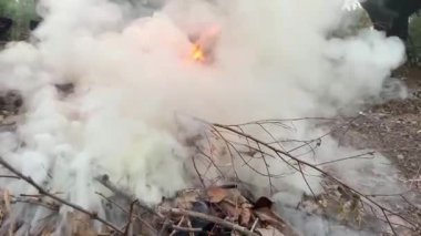 Yangın ve yanan kuru ot yapmak bir alevle tarım ve çevre için tehlike duman ve yangın felâketi neden