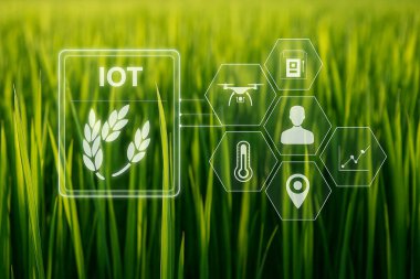 Yapay zeka, pirinç tarlasında akıllı tarımı gösteren bir görüntü oluşturdu. Fütürist dijital arayüzle ürünleri eş zamanlı olarak izlemek için IoT sistemleri kullanıldı..