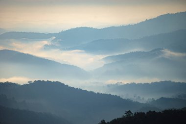 Orman katmanlı bir manzara dağ ve sis ya da turistlerin seyahat günü tatili kış atmosferi arka planında başlıyor..