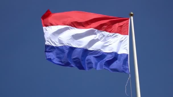 Σημαία Της Ολλανδίας Κυματίζει Στον Άνεμο Φόντο Τον Γαλάζιο Ουρανό — Αρχείο Βίντεο