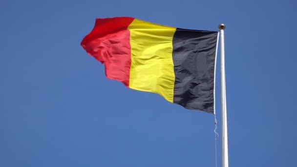 Bandera Alemania Con Viento Cámara Lenta — Vídeos de Stock