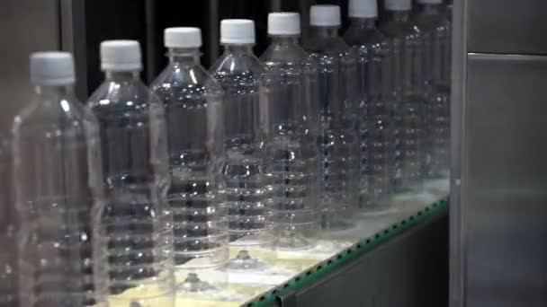 Νέα Πλαστικά Μπουκάλια Στον Ιμάντα Μεταφοράς Στο Εργοστάσιο Ποτού — Αρχείο Βίντεο