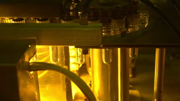 线路输送机将塑料瓶产品的预制形状带到加热器站 — 图库视频影像