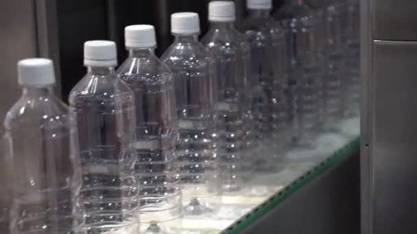 Processo Riempimento Della Bottiglia Plastica Nel Nastro Trasportatore Processo Produzione — Video Stock