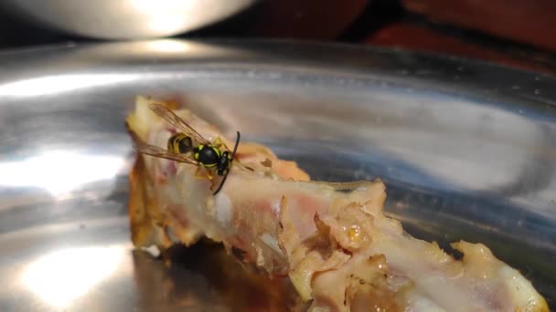 蜂は光沢のある金属皿の上で肉Bbqを食べている閉じる — ストック動画