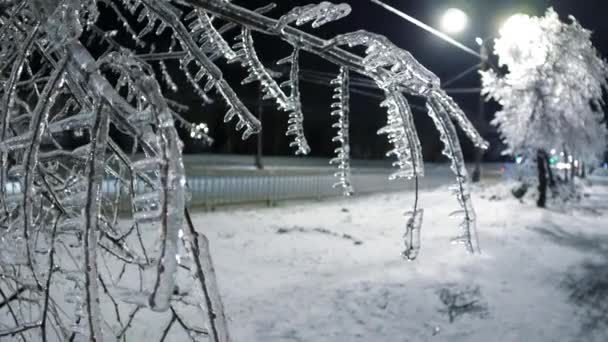 冰封的夜幕 城市冬季仙境 布满冰柱的枝条 — 图库视频影像