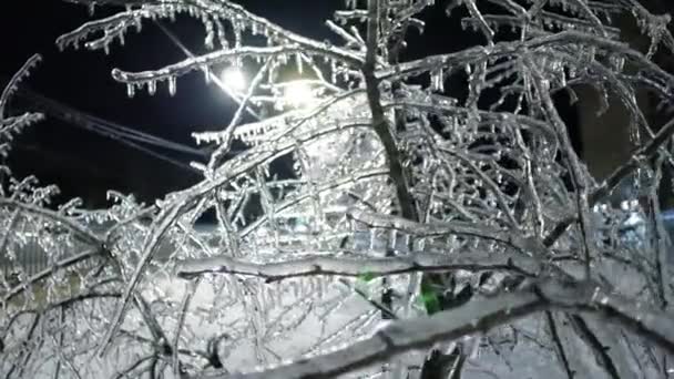 Beku Nightscapes Urban Winter Wonderland Dengan Icicle Cover Branch Wide — Stok Video