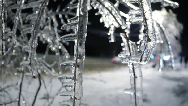 Замерзшие Мысы Городское Зимнее Чудо Покрытыми Сосульками Ветвями Широким Углом — стоковое видео
