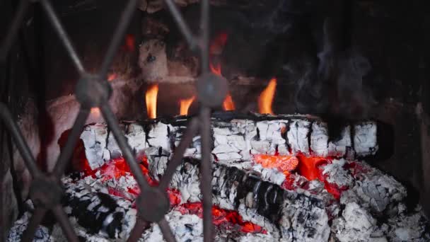 Schwelendes Und Brennendes Brennholz Kamin Hinter Einem Halb Geschlossenen Gitter — Stockvideo