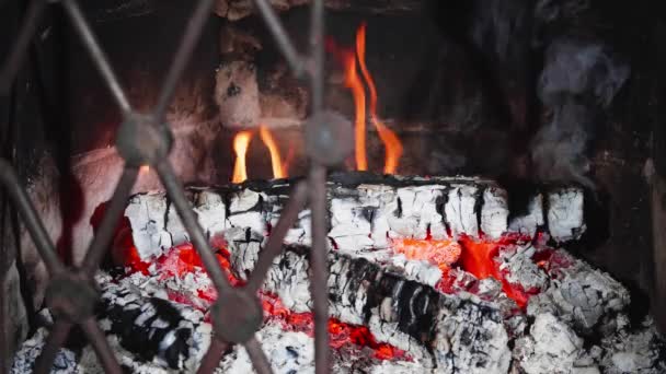 Schwelendes Und Brennendes Feuerholz Kamin Hinter Dem Geschlossenen Einflügeligen Eisentor — Stockvideo