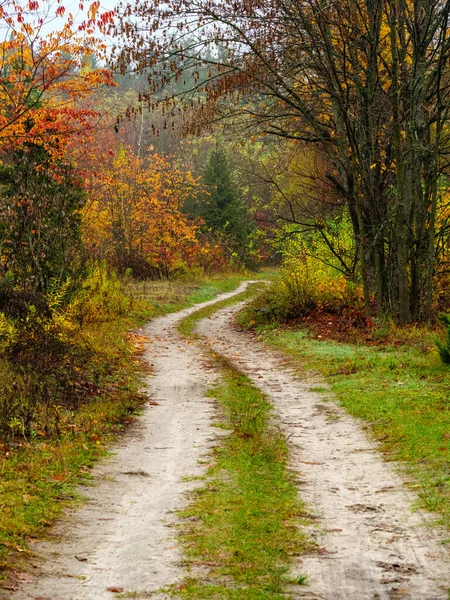 Winding dirt road through the autumn forest