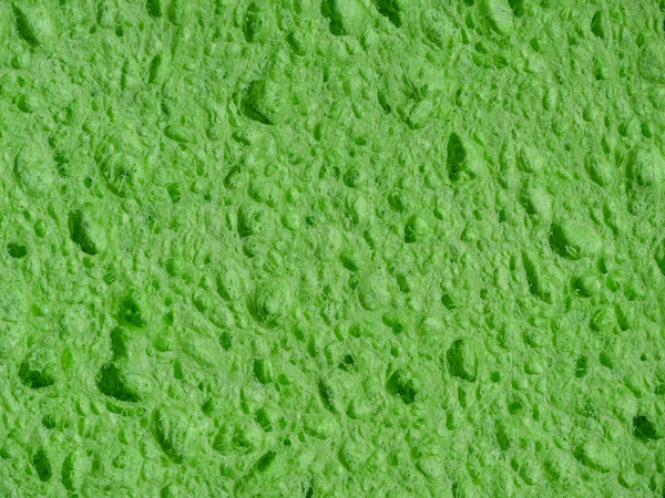 Green Wash Sponge Texture Porous Sponge Close — Stock Photo, Image
