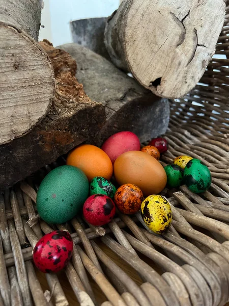 Пасхальні Яйця Дерев Яному Гнізді — стокове фото