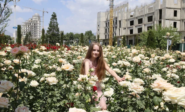 Menina Entre Campo Rosas Brancas — Fotografia de Stock