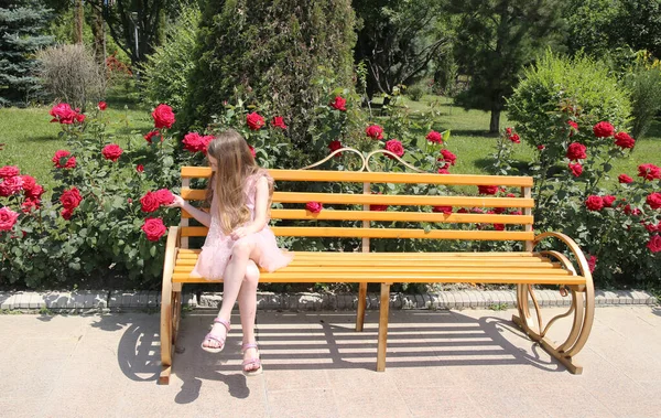 Uma Menina Senta Banco Entre Rosas Vermelhas — Fotografia de Stock