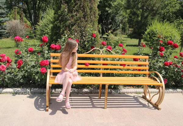 Une Petite Fille Est Assise Sur Banc Parmi Les Roses — Photo
