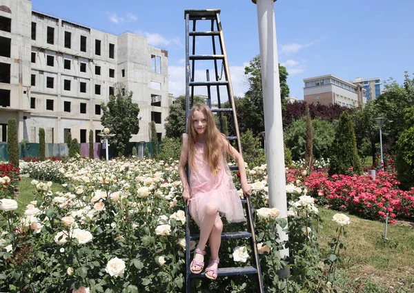 Menina Senta Uma Escada Entre Rosas Brancas — Fotografia de Stock