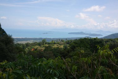 Tropikal manzara Samui Adası Tayland