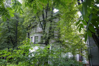 Vahşi bahçedeki eski güzel ev