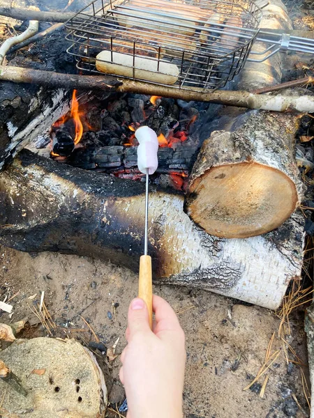 Roasting Marshmallows Skewers Fire Pit Campsite — Stock Photo, Image