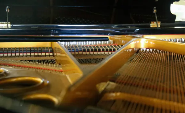 Büyük piyanonun içindeki çekiçlere ve dizgilere seçici odaklanma