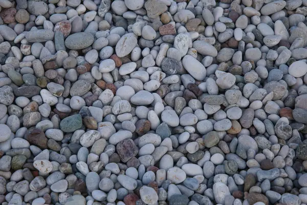 Zeminde, arka planda çeşitli çakıl taşı karışımları var..