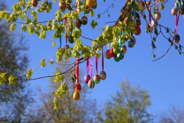 Ihlamur ağacında renkli el yapımı Paskalya Eastereggs