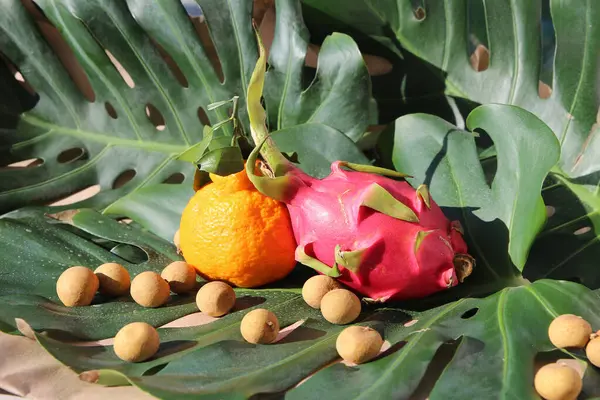 Canlı Tropikal Meyve Düzenleme Ejderha Meyvesi, Portakal ve Longan