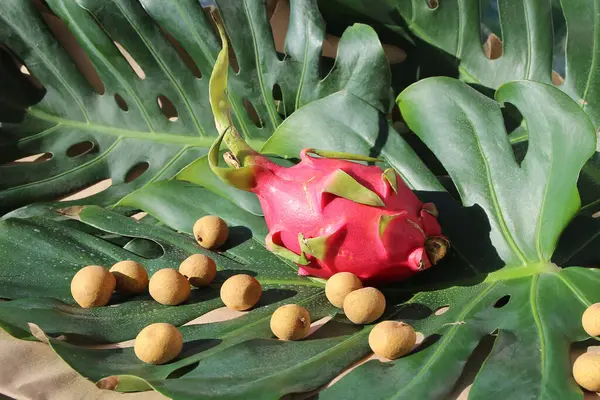 Canlı Tropikal Meyve Düzenleme Ejderha Meyvesi, Turuncu