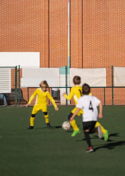 Sujeto Desenfocado Propósito Los Chicos Jóvenes Juegan Fútbol Campo Hierba — Foto de Stock