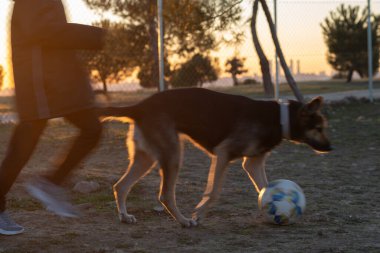 Blurred defocused gomotion boy racing with his dog at sunset in a park.