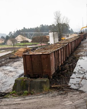 Ağaç kesme ekipmanları yükleniyor. Kereste ve kütük yükleyici. Kütük yükleyici çam kütüklerini taşıyor. Kereste endüstrisi. Ahşap fabrikası. Odun kesimi ağaç gövdesi kütükleri hazır.