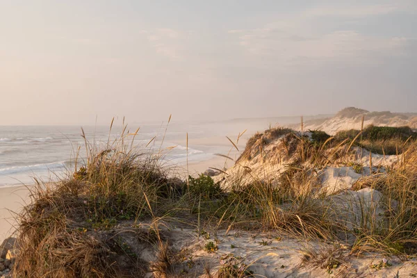 Grass Sand Duna Pláž Výhled Moře Při Západu Slunce Furadouro — Stock fotografie