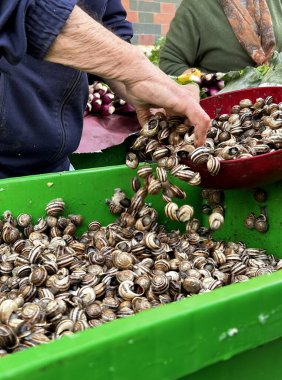 Ellerinizi kapatın ve markette satılmaya hazır salyangozlar hazırlayın..