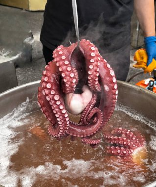 Galiçyalı bir kadının bir tencere kaynar suda ahtapot pişirmesine yakından bakın..