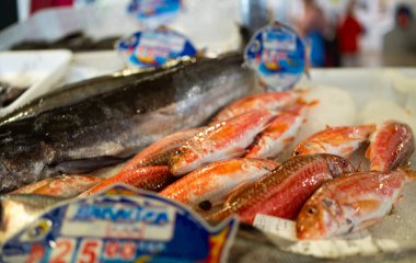 Close up of fresh red mullets and hakes in a fish market, clipart