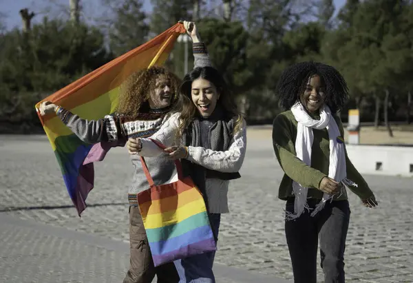 lgbt Onur Yürüyüşü 'nde gökkuşağı bayrağı ve çanta gösteren çok ırklı mutlu arkadaşlar, çeşitliliği ve eşitliği kutluyorlar..