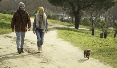 Gülümseyen genç bir çift parkta köpeğiyle yürüyor güneşli bir kış gününün tadını çıkarıyorlar.