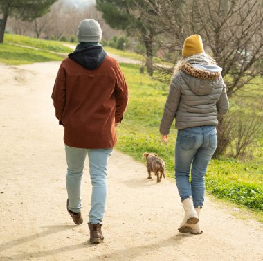 Genç çift, kış boyunca parkta küçük köpekleriyle kameradan uzaklaşıyorlar.